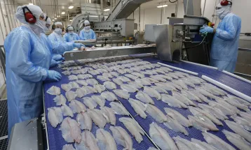 Tilápia fica mais barata na Quaresma e reforça liderança do Paraná na piscicultura