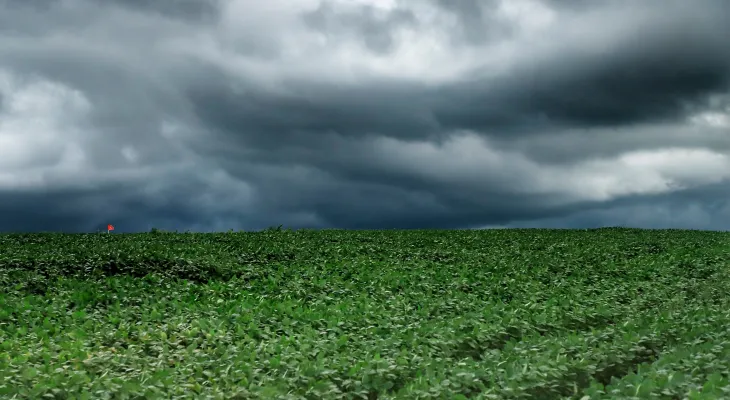 Tempestades atingem Paraná com 55 mm de chuva em uma hora
