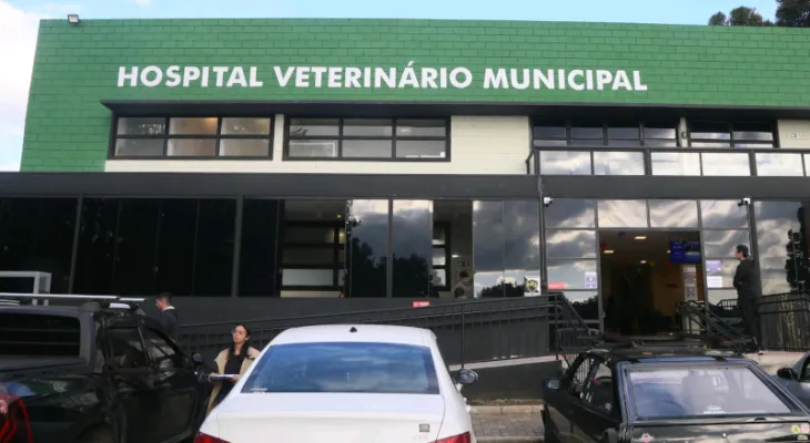 Projeto obriga veterinários a denunciar suspeita de maus-tratos em Curitiba