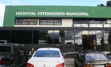 Projeto obriga veterinários a denunciar suspeita de maus-tratos em Curitiba