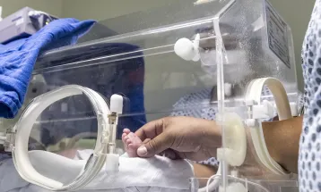 Paraná amplia apoio psicológico a mães de bebês prematuros