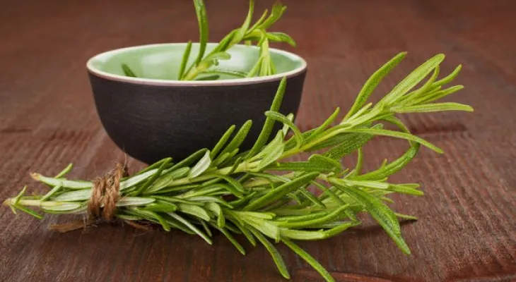 Curiosidades da cozinha: alecrim, azeites e os segredos do steak tartar