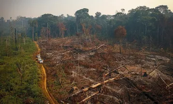 Plano Clima aposta em corte no desmatamento enquanto agro mantêm trajetória estável ou crescente