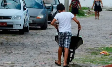 Paraná triplica resgates de trabalho infantil em 2025 e registra alta nas denúncias