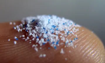 Plásticos, poluição global