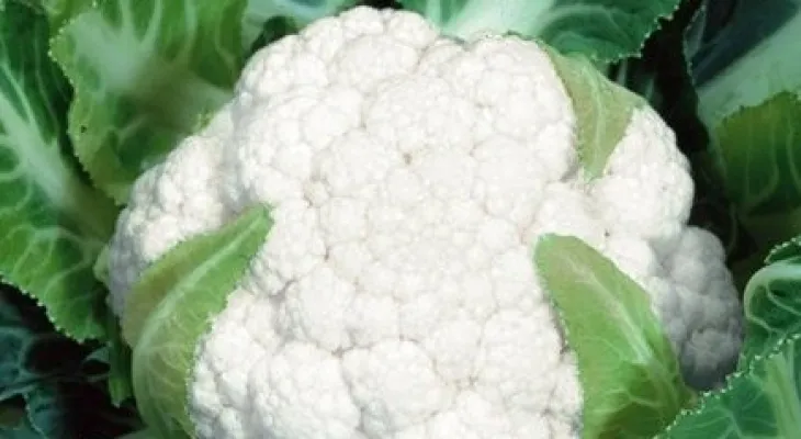 Couve-flor: benefícios para a saúde e 3 receitas fáceis para incluir no dia a dia