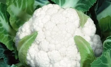 Couve-flor: benefícios para a saúde e 3 receitas fáceis para incluir no dia a dia