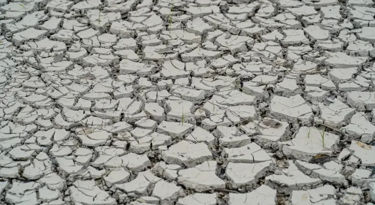 Estiagem: quinze cidades têm situação de emergência decretada