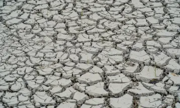 Estiagem: quinze cidades têm situação de emergência decretada