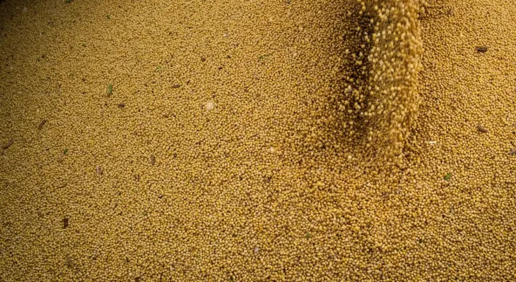 Agro cresce 11,7%, impulsiona PIB e ganha participação na economia