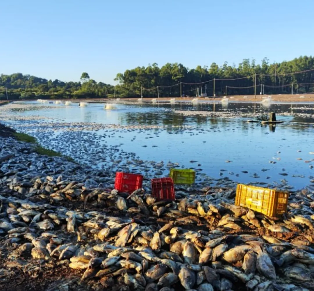 Prejuízos causados por queda de energia motivam pedido de comissão na Alep