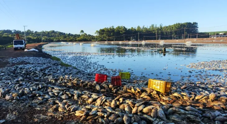 Prejuízos causados por queda de energia motivam pedido de comissão na Alep