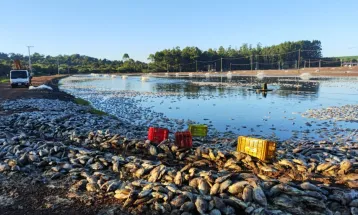 Prejuízos causados por queda de energia motivam pedido de comissão na Alep