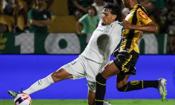 Campeonato Paulista: Verdão e Novorizontino iniciam a disputa do título