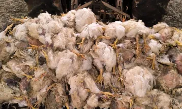 Lucro bilionário e apagões no campo: entidades cobram explicações da Copel por prejuízos no Paraná