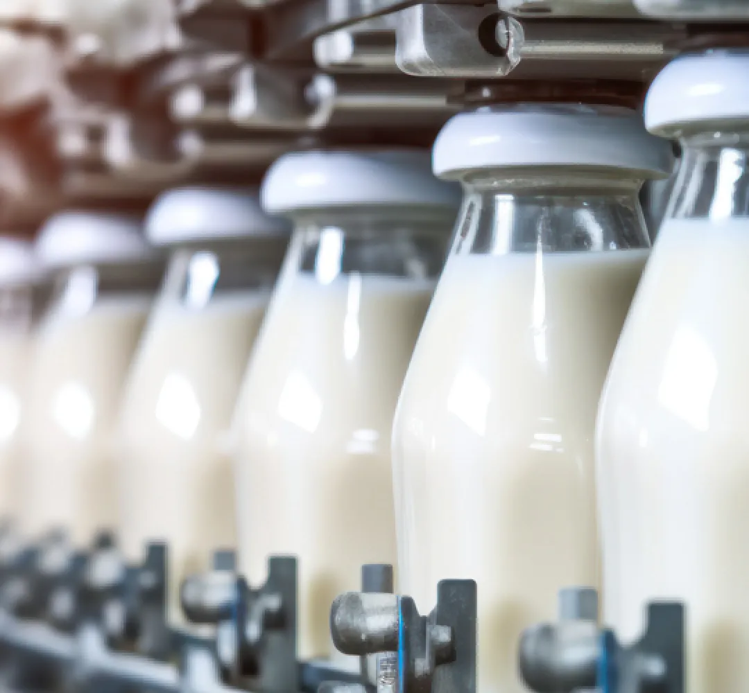 Setor leiteiro aposta em plano para ampliar exportações e reduzir dependência do mercado interno