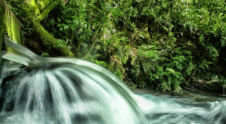 ICMS Ecológico: IAT prorroga prazo para municípios apresentarem relatórios