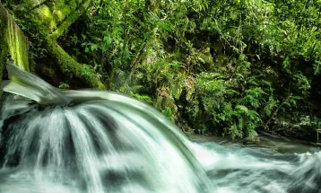 ICMS Ecológico: IAT prorroga prazo para municípios apresentarem relatórios
