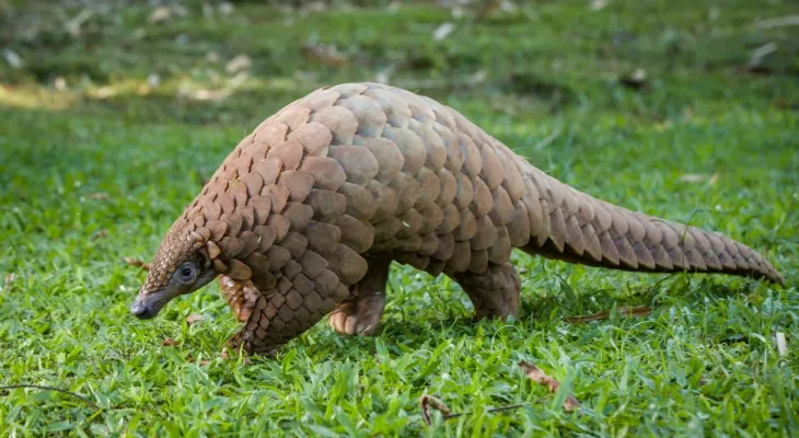 Nós, os predadores (I)