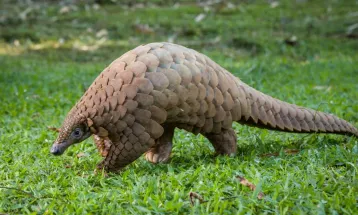 Nós, os predadores (I)