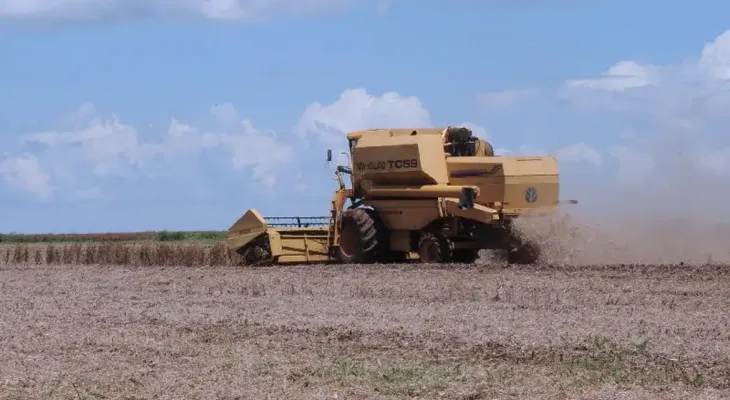 Justiça suspende cobrança de dívidas rurais e impede negativação de produtores em ação contra banco
