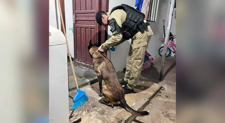 Gaeco deflagra Operação Vera Persona contra facção criminosa no Paraná; veja cidades