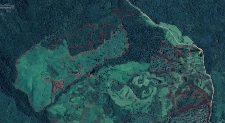 Projeto que limita fiscalizações ambientais por satélite tramita em regime de urgência no Congresso