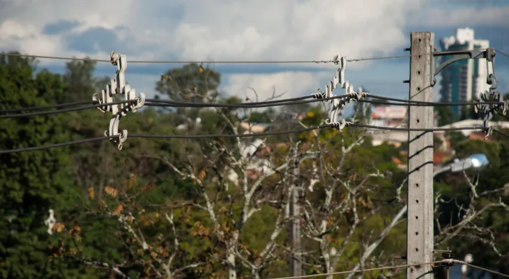 Projeto na Alep quer barrar exigência de poda pela Copel a produtores rurais