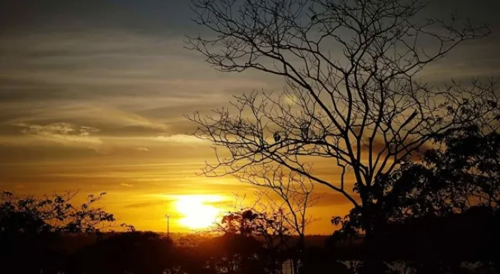 Dia Nacional de Conscientização sobre as Mudanças Climáticas