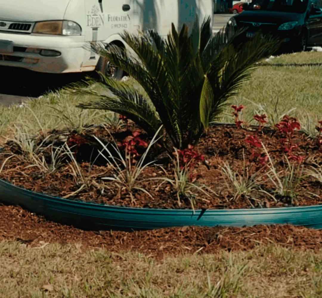 Avenida das Cataratas sofre vandalismo e furto de flores