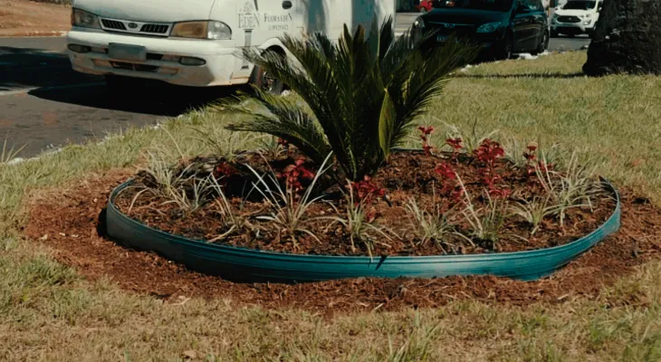 Avenida das Cataratas sofre vandalismo e furto de flores