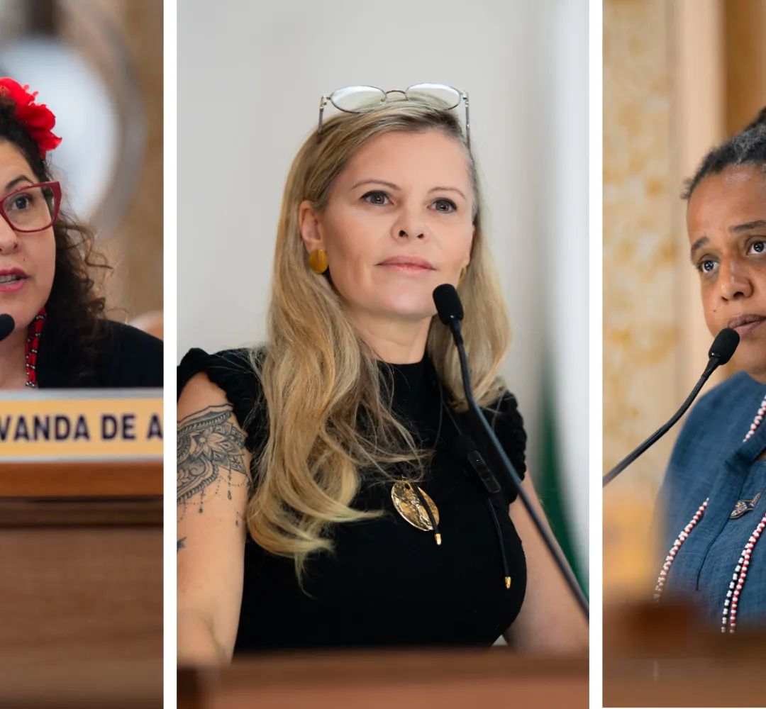 Vereadora usa 13 de maio para “Dia do Customizador” e enfrenta acusações de esvaziar memória da escravidão