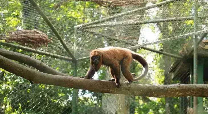 Prefeitura abre licitação para revitalizar entorno do Zoológico de Cascavel