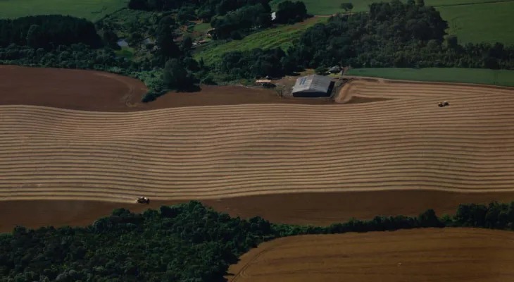 Paraná registra maior rendimento de milho da história e consolida liderança nas carnes
