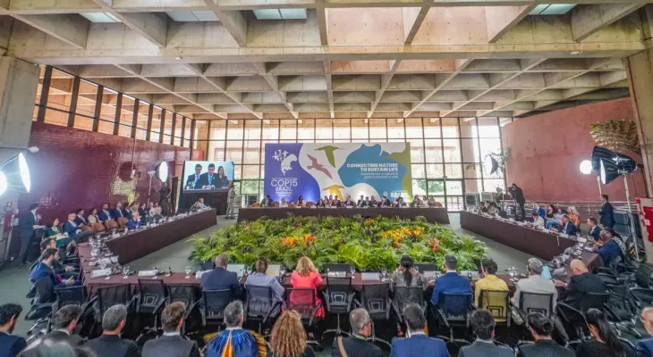 COP15 aprova maior proteção de bagres gigantes da Amazônia e ariranhas