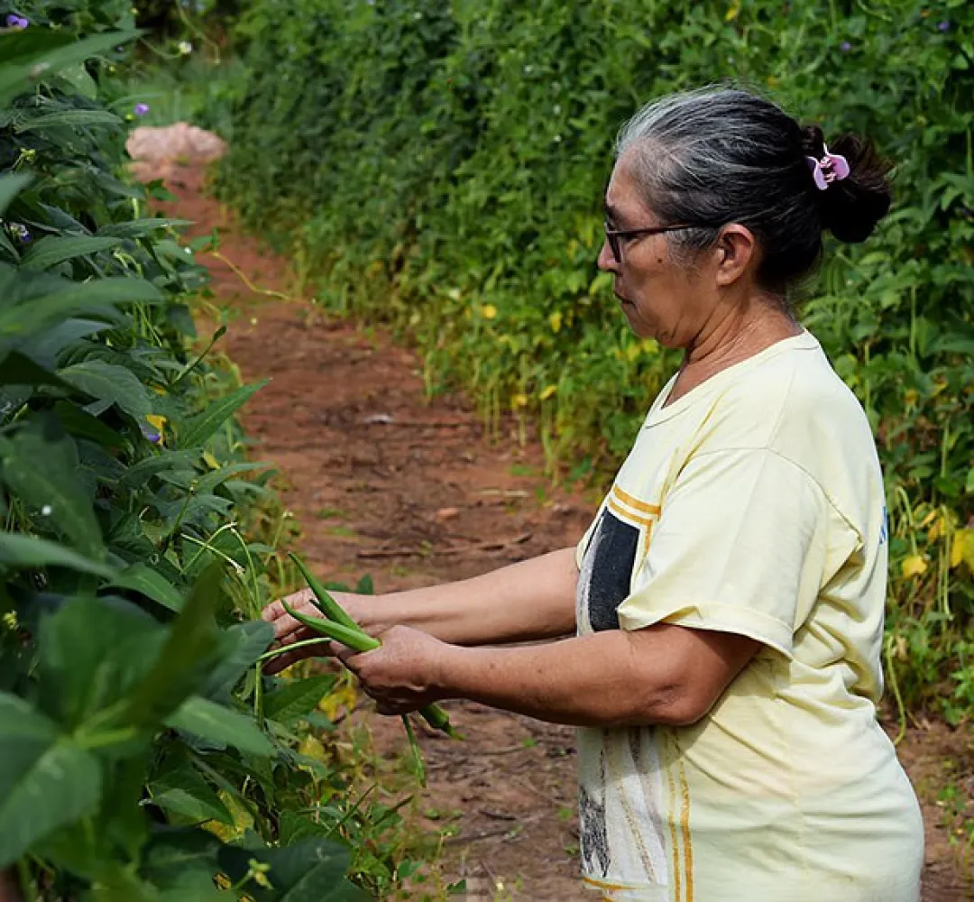 Lei acaba com multa em contagem de tempo anterior a filiação ao INSS