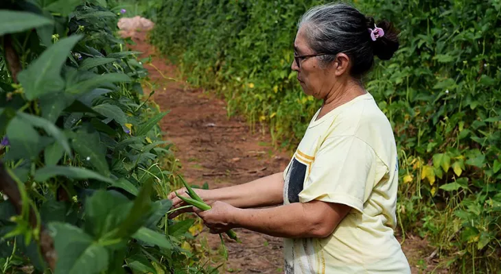 Lei acaba com multa em contagem de tempo anterior a filiação ao INSS