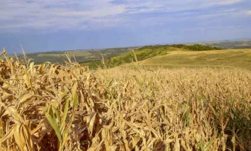 Estiagem leva 12 municípios do Paraná a decretarem situação de emergência