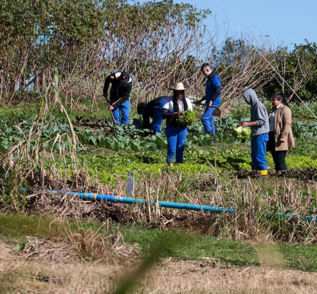 Vereadora denuncia possível substituição de servidores concursados por terceirizados em escolas agrícolas no Paraná