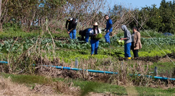 Vereadora denuncia possível substituição de servidores concursados por terceirizados em escolas agrícolas no Paraná
