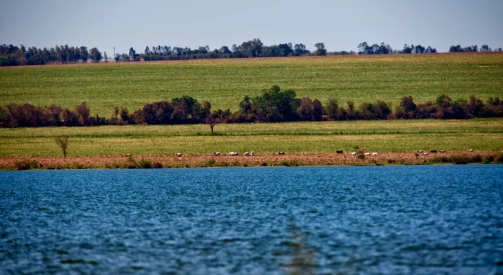 Gestão da Água: Comitês de Bacias do Paraná definem futuro dos rios Piquiri, Ivaí e Iguaçu