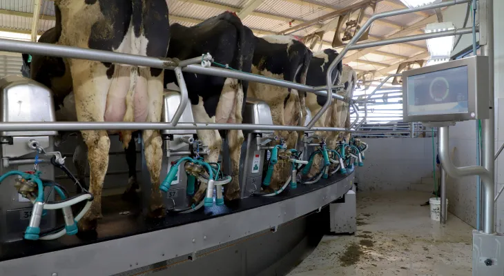 Leite e cebola disparam no Paraná: Veja o que diz o novo boletim do Deral