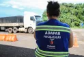 Greve na Adapar é aprovada e pode travar cadeia do agronegócio no Paraná