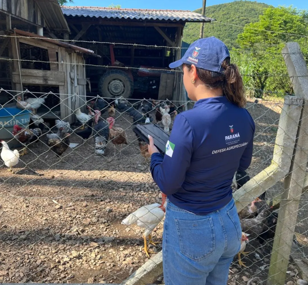 Governo deixa Adapar na mão e agro pode sofrer com greve