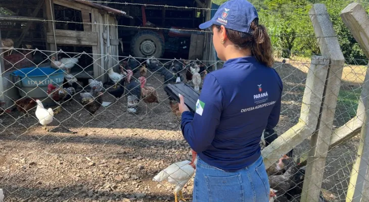 Governo deixa Adapar na mão e agro pode sofrer com greve