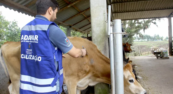 Greve da Adapar pode fazer com que japoneses deixem de comprar carne bovina do Paraná