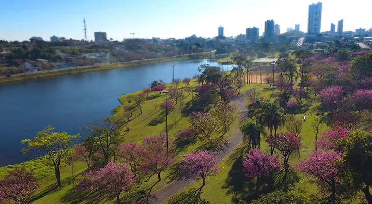 Guarapuava pode permitir quitação de dívidas com até 100% de desconto em juros
