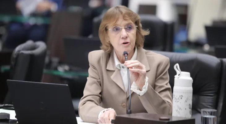 Deputada critica reajuste de até 19% na conta de luz e cobra melhorias no serviço da Copel