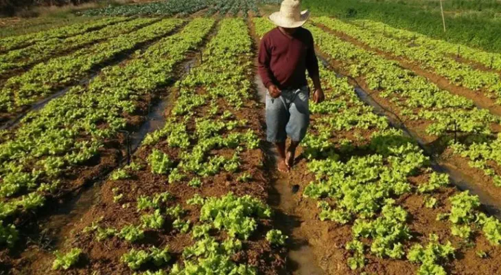 Congresso discute mudanças na Reforma Agrária diante de baixa renda nos assentamentos