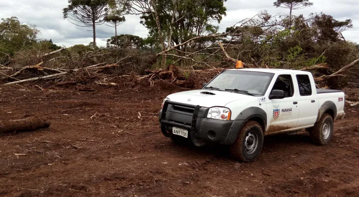 Paraná regulamenta Refis Ambiental; veja como parcelar dívidas com o IAT
